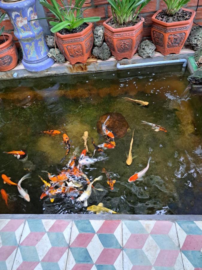 Hoa Lan Motel & Homestay Giong Tu Dien Kültér fotó
